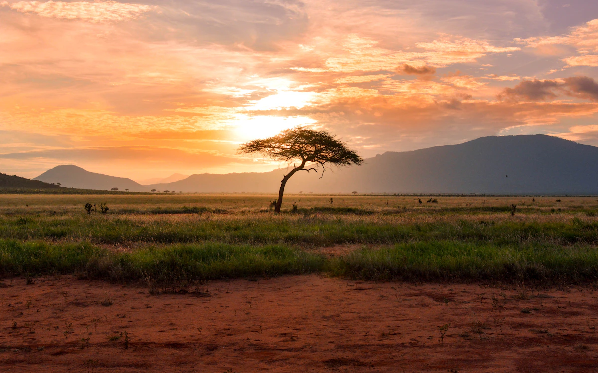 Présence de 2D Consulting en Afrique