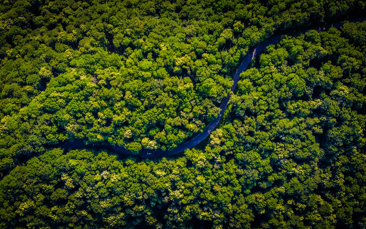 Étude d'impact environnemental