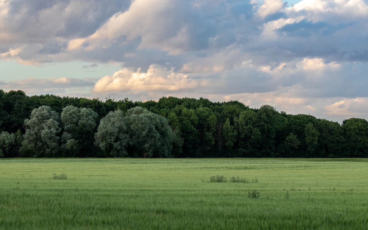 Études d'impact environnemental — 2D Consulting