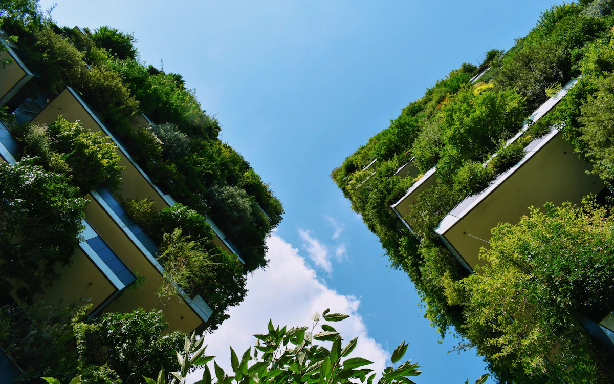 Stratégie développement durable et RSE — 2D Consulting